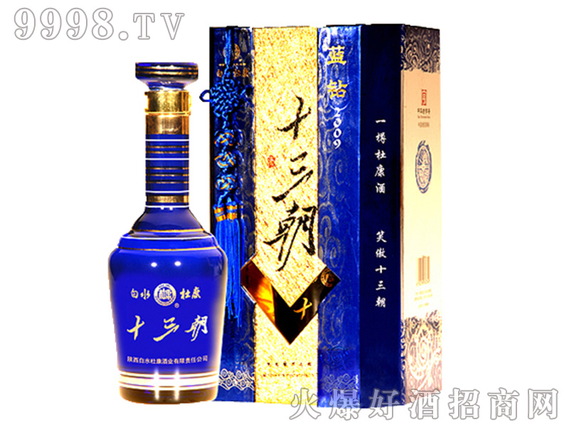 ʮ�����{(l��n)�@2009��