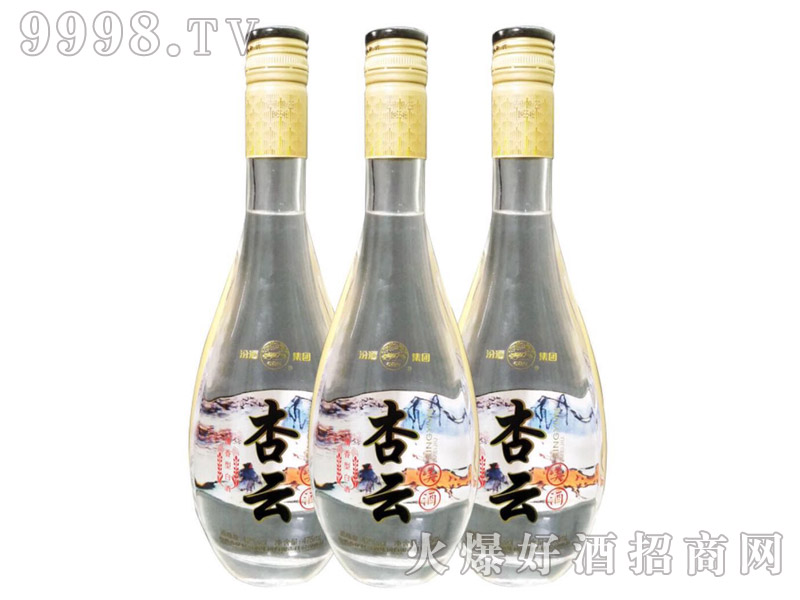 �������ƹ�ƿ�¿�-�׾����Ϣ