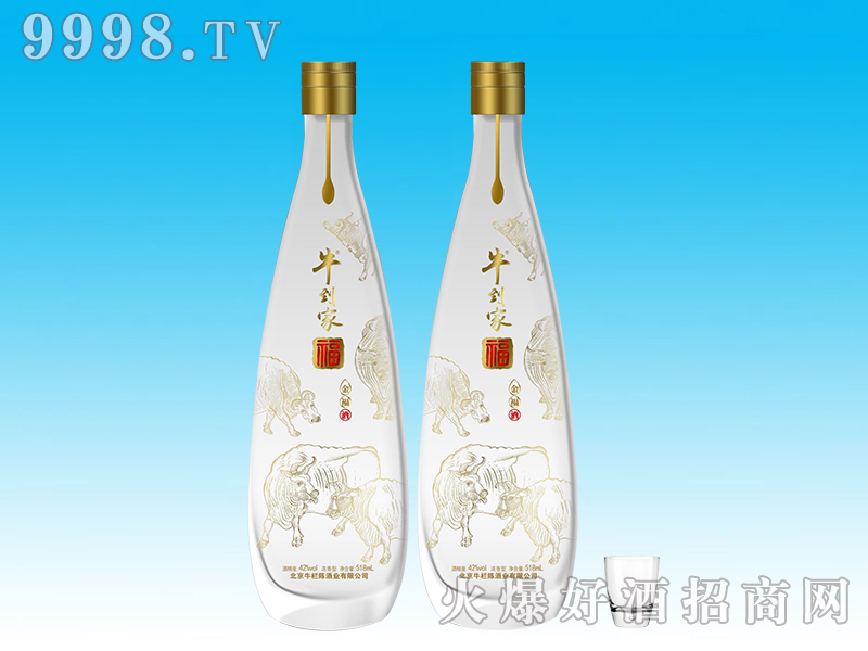 ţ���Ҹ��𸣾Ɲ����Ͱ׾ơ�42��500ml��