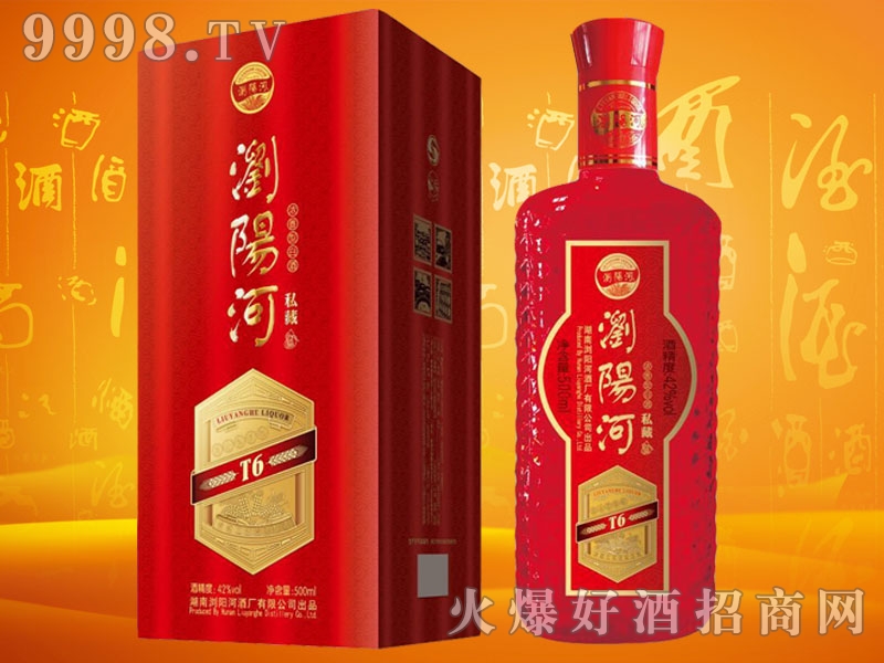 �gꖺӾ�˽��T6