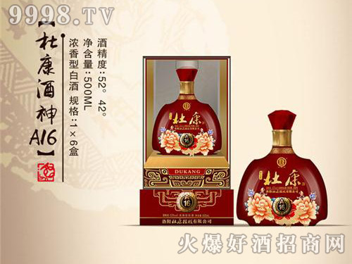 �ſ������A16