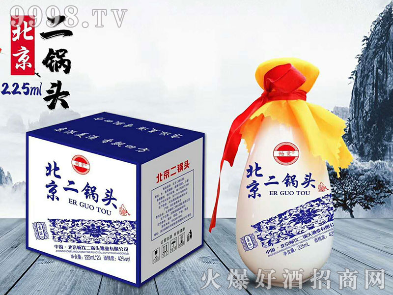 �����^�� 225mlx20