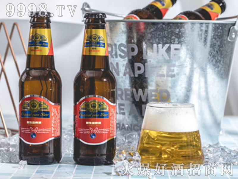 CLASSICAL BEERơ�Ƽt�ˡ�12��500ml��