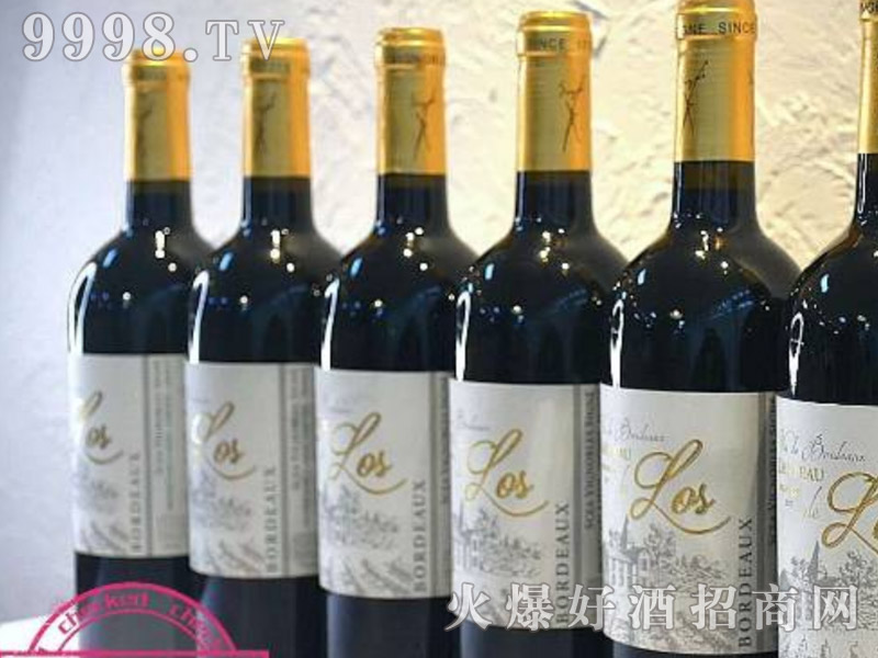 ��������˹�ɼt���Ѿ�-�t��������Ϣ