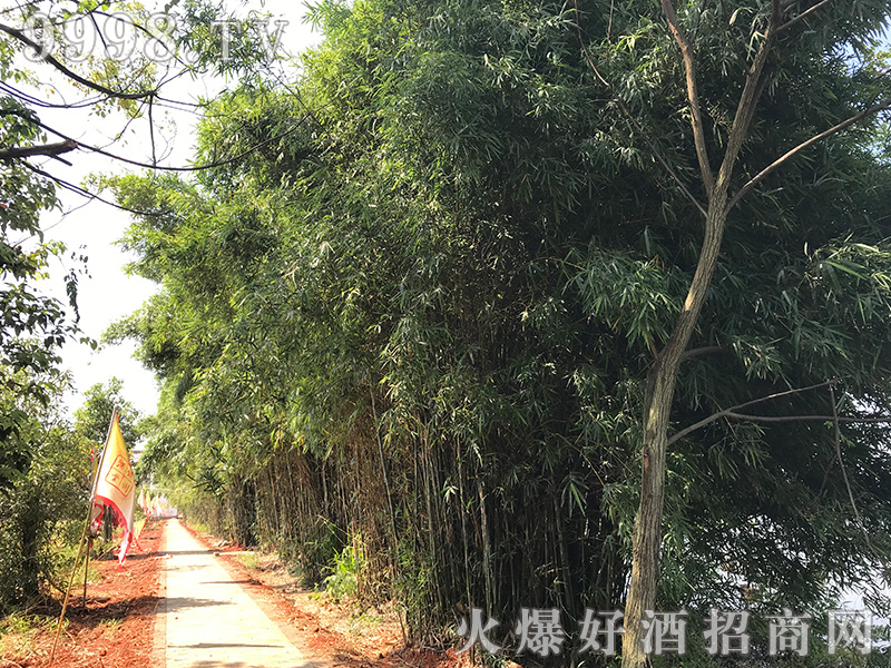 �������ݾƘI(y��)����؟(z��)�ι�˾�S�L(f��ng)��