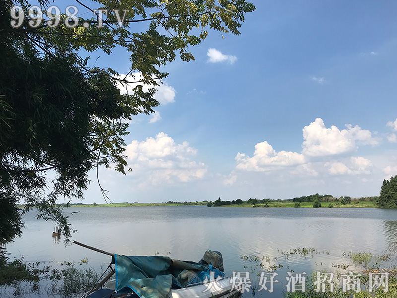 �������ݾƘI(y��)����؟(z��)�ι�˾�Sչʾ