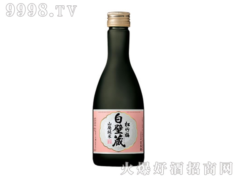 ����÷�ױڲ�ɽ�U�������(�l(f��)�;�)��300ml��12��