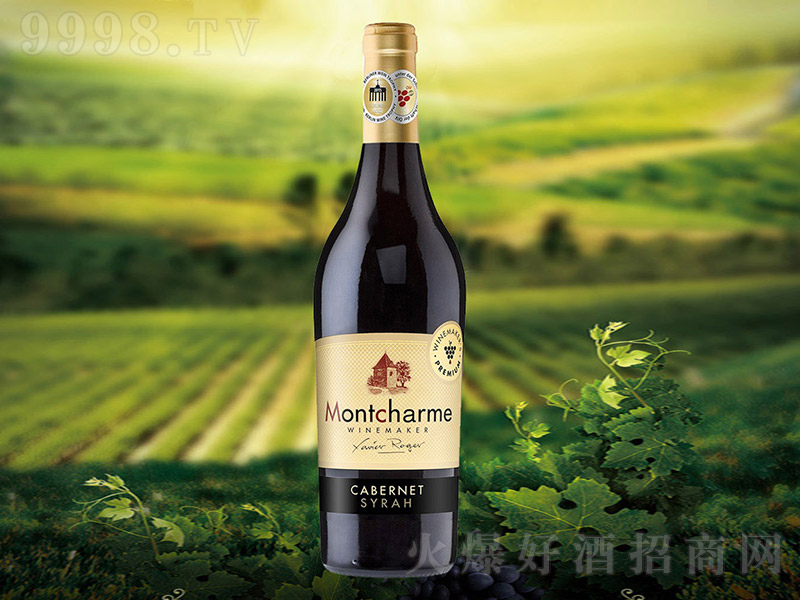 Ľ���ű����(bi��o)�ɼt���Ѿơ�13��750ml��