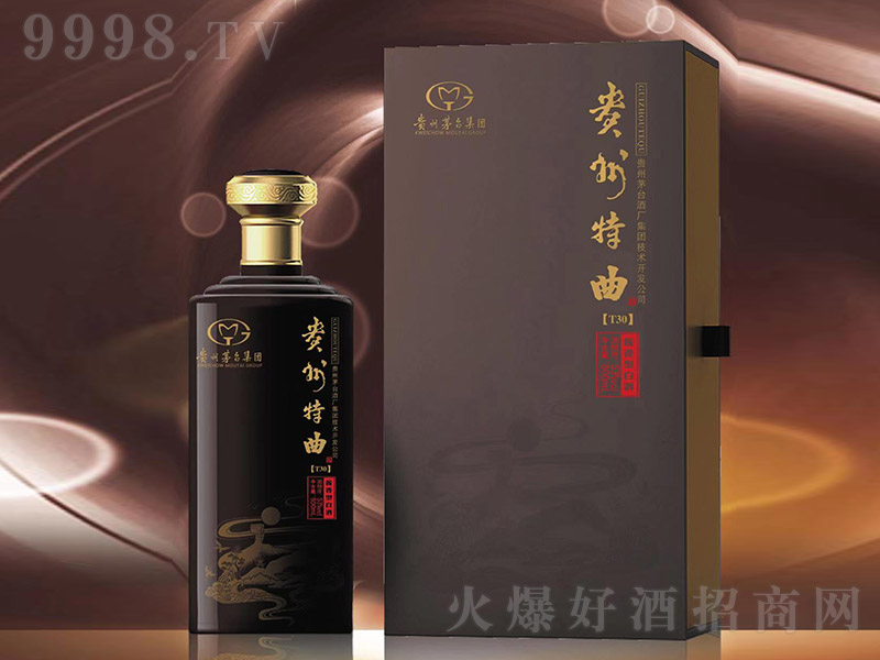 �F��������T30 �u���Ͱ׾ơ�53�� 500ml��-�׾�������Ϣ