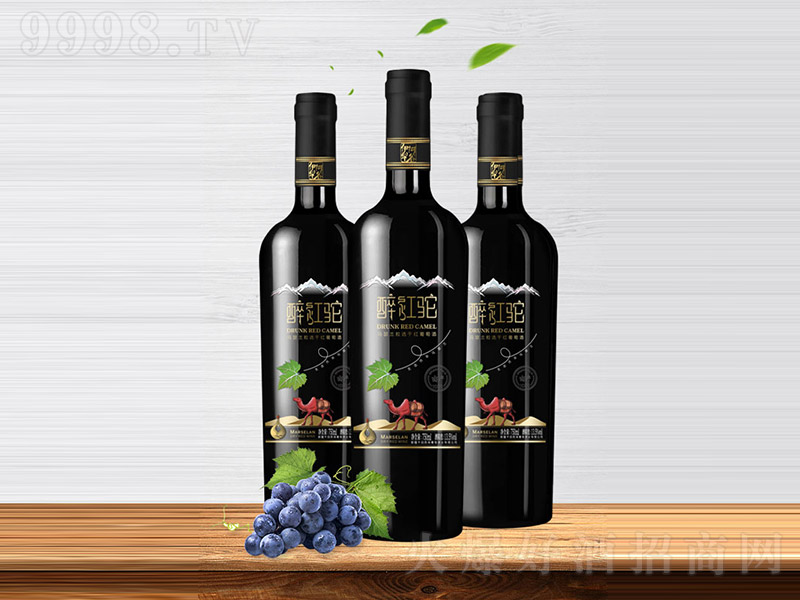 ���t�?d��ng)ЙC(j��)���Rɪ�m���x�ɼt���Ѿơ�13.5�� 750ml��