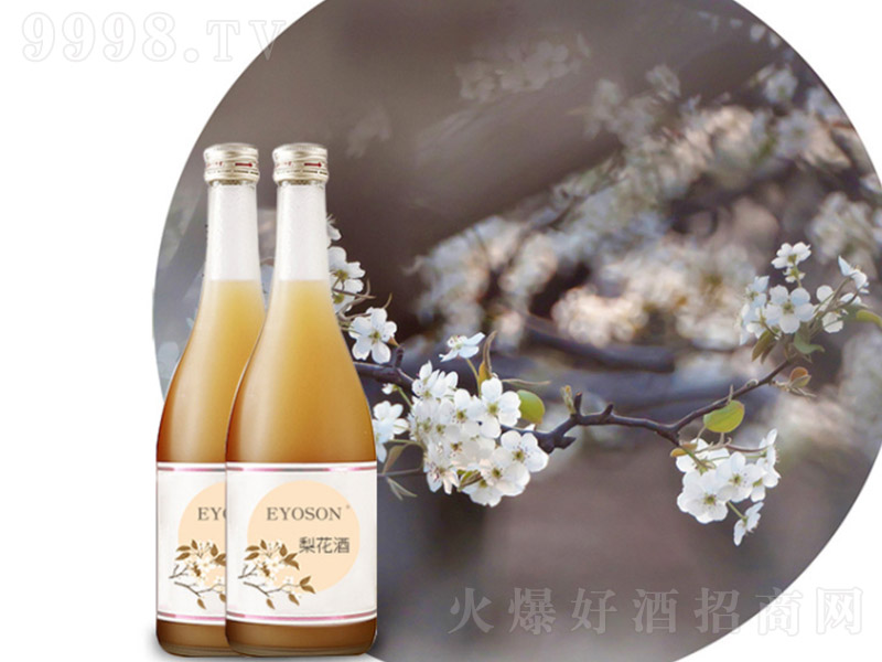 һ����滨�ơ�12�� 500ml��