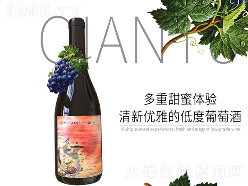 һ����t���Ѿơ�12�� 750ml��-�t�����Ϣ