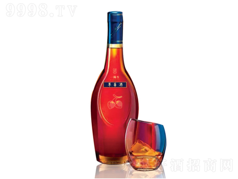 һ�����ݮ�Ͼ�ɣ�ز�ݮ�ơ�12�� 500ml��