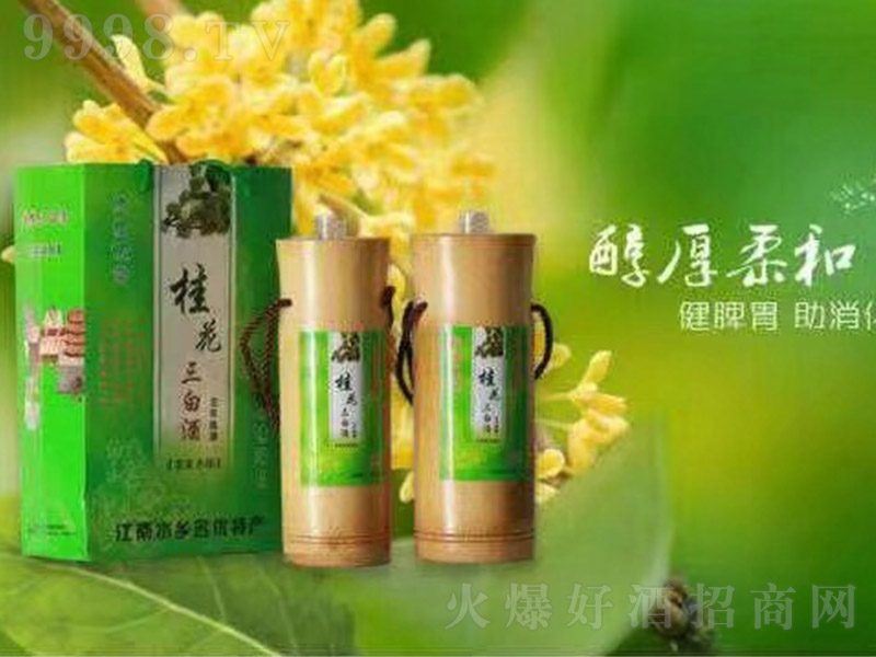 �����׾�ԭ��5-�خa(ch��n)�����Ϣ