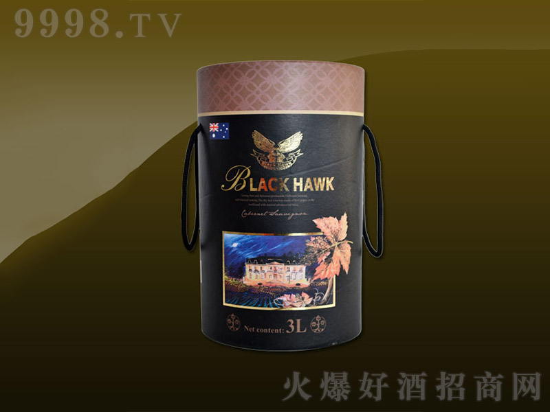 �����AͲ�ɼt���Ѿơ�13�� 3L��