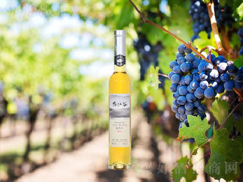 ������15�������������Ѿơ�10�� 375ml��