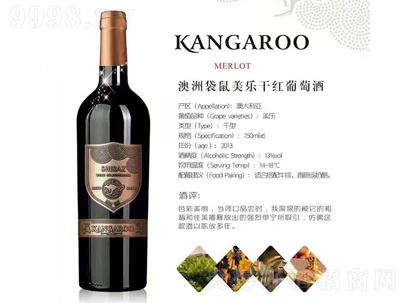 ���޴�������(l��)�ɼt���Ѿơ�13�� 750ml��