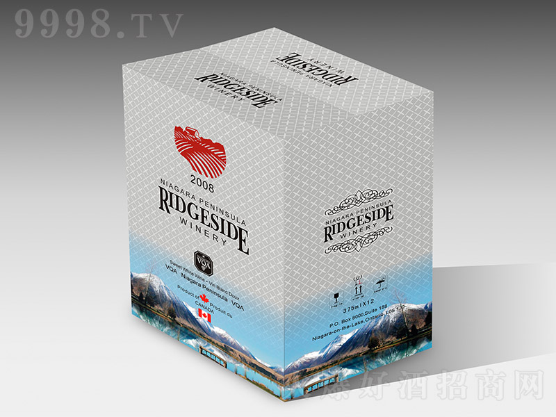 ���ô��м�����������չʾ