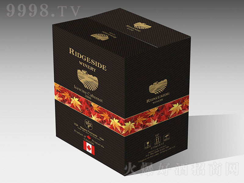 ���ô��м�����������չʾ���ڣ�