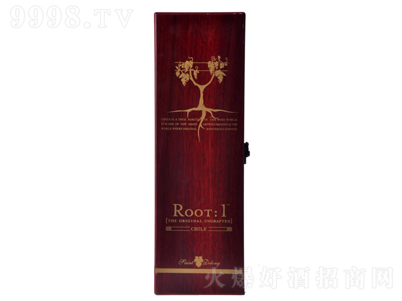 ʥ��¡���ľ��