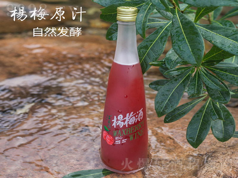 �����{��÷�ơ�12�� 360ml��