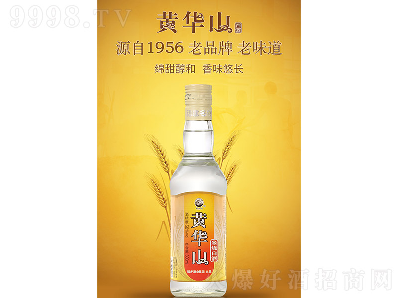 �S�Aɽ�ן� �����Ͱ׾ơ�50�� 500ml��