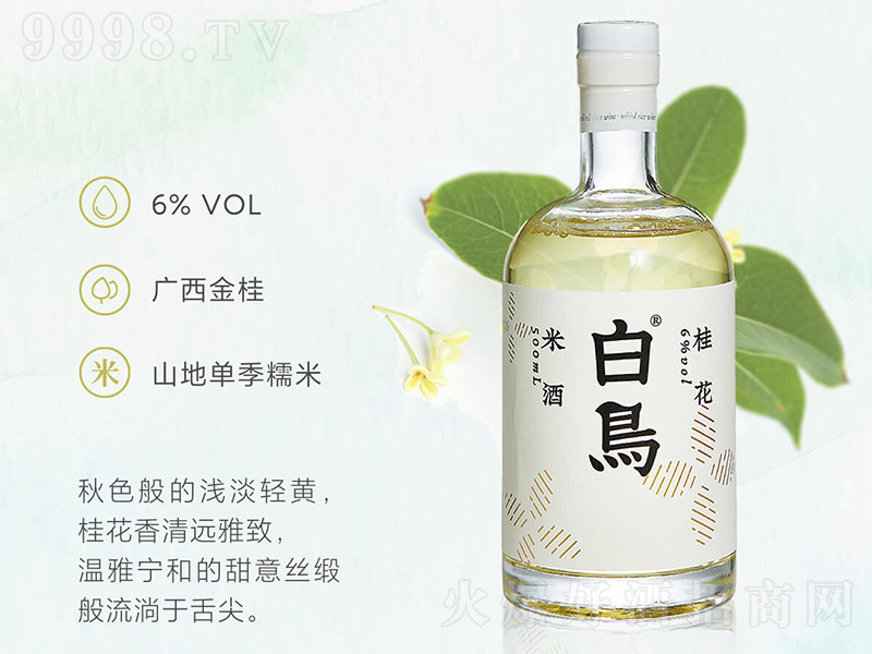 ���B��Ŵ�׾ƣ�ƿ����6�� 500ml��