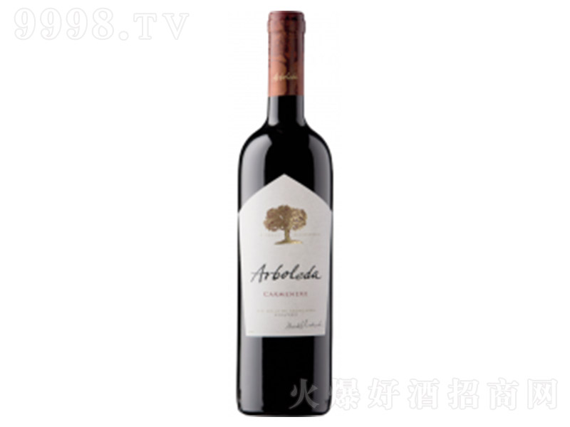 ��ľ�����ȼt���Ѿơ�750ml��-�t�����Ϣ