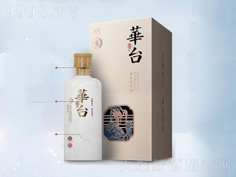 �F���A�_(t��i)�u���u���͡�53��500ml��