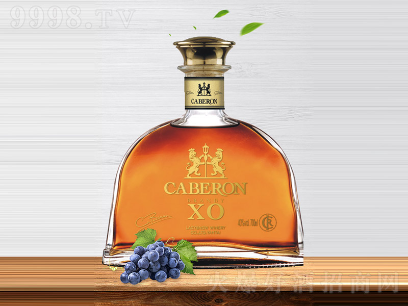 ����(gu��)�о�XO���m�ء�40�� 700ml��