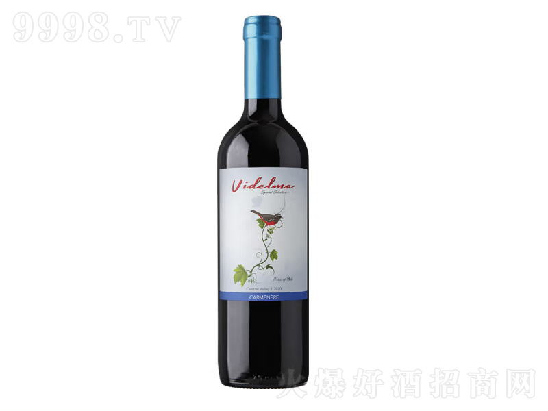 �����t��ԭƿԭ�b�M(j��n)�ھS�ì�����������ȸɼt���Ѿ�750ml-�t��������Ϣ