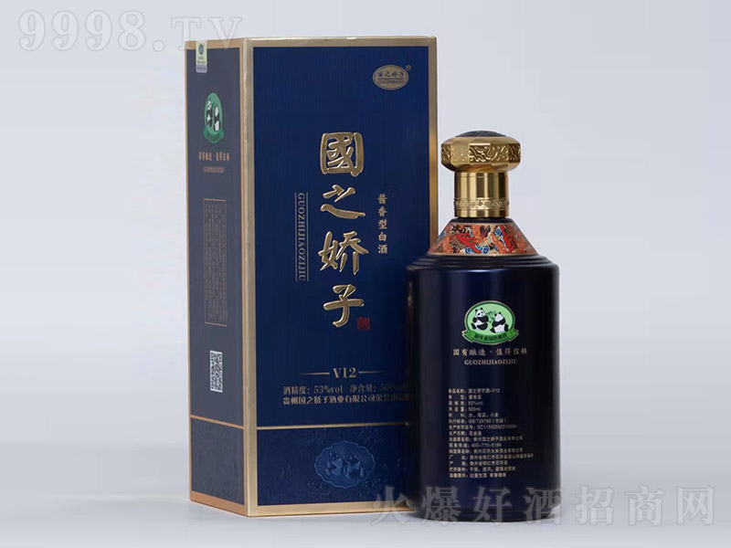 ��֮���Ӿ�V12 �u���͡�53�� 500ml��-�׾�������Ϣ