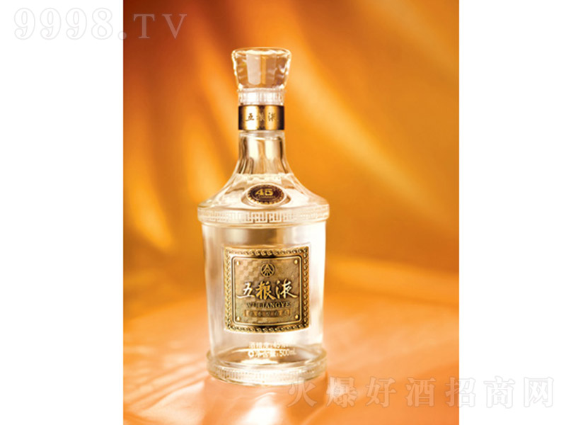 ��ZҺ �����͡�45�� 500ml��