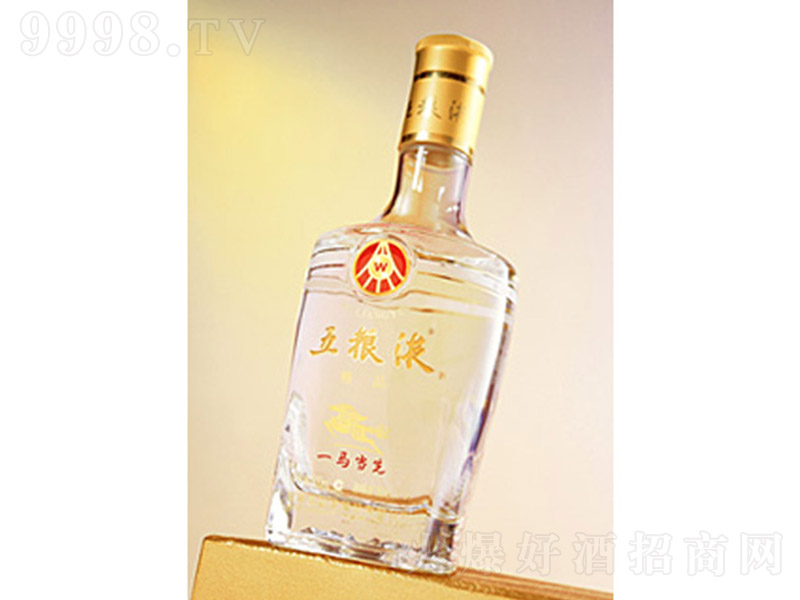 ��ZҺ��һ�R��(d��ng)�� �����͡�52�� 500ml��