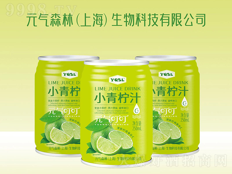 YQSLС����֭Ԫ�ⶣ����250ml��-���������Ϣ