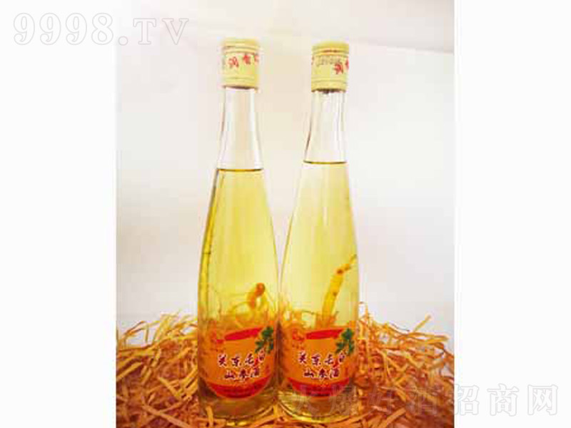 �P(gu��n)�|�L(zh��ng)��ɽ�B(y��ng)���ƅ���