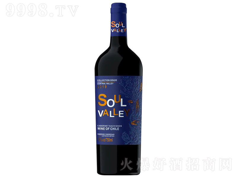 �`��Ⱥ�����ظɼt���Ѿơ�13�� 750ml��