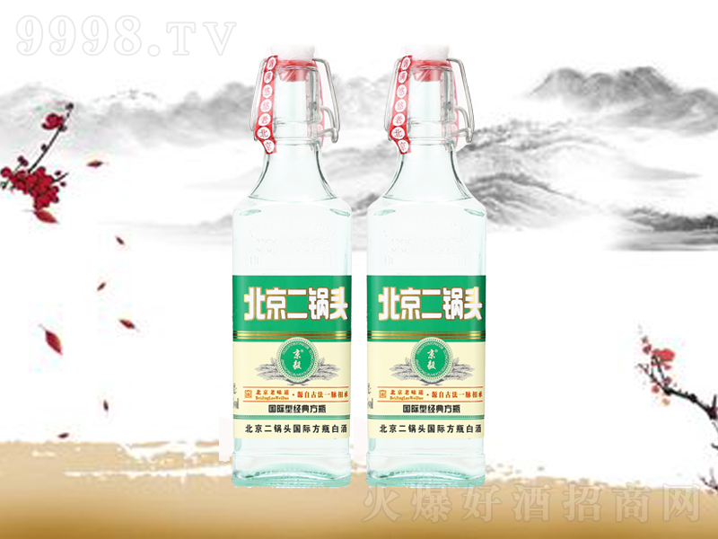 ��������^�ƽ�(j��ng)�䷽ƿ�����;ơ�42��500ml��