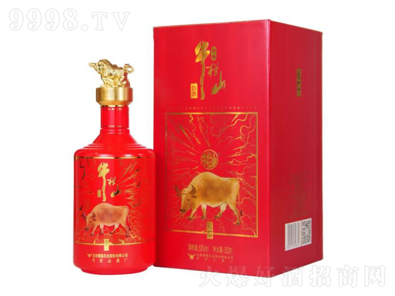 ţ��ɽ�Y����^�����͡�53��500ml��