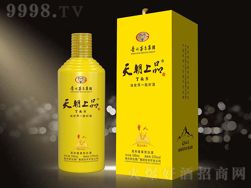 �쳯��Ʒ���F��V���Sɫ�� �u���͡�53�� 500ml��