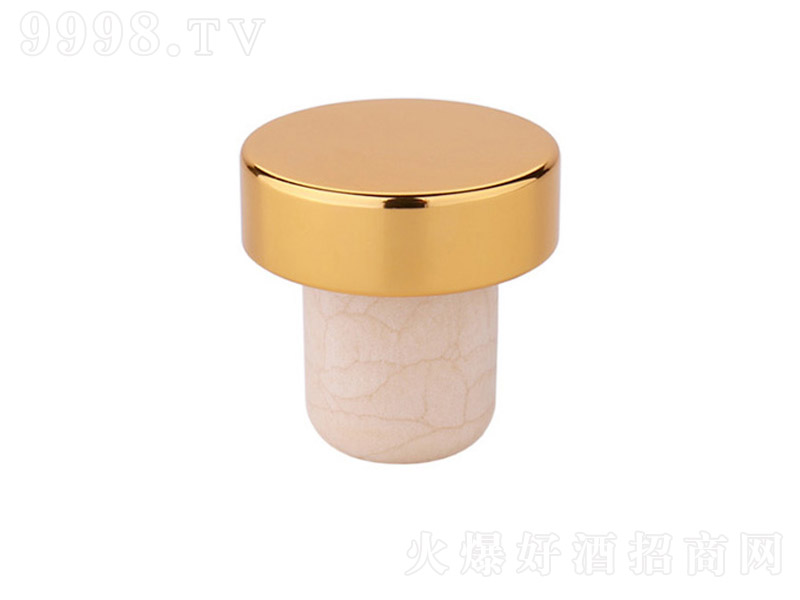 �߷��Ӄ�(n��i)��ϵ��FZ-002