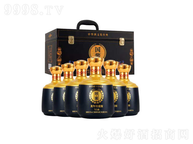 �ۇ��u�����޶�V16�u���;ơ�53��500ML��