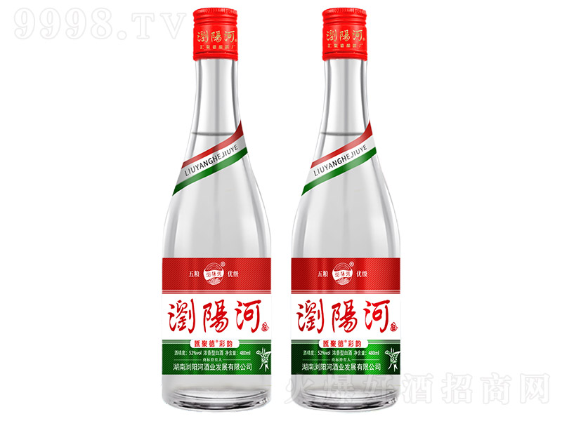 �g�(y��ng)�Ӿơ��R�۵²�� �����͡�52�� 480ml��