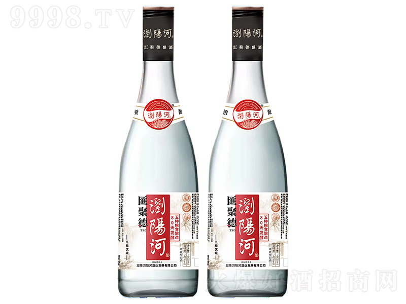 �g�(y��ng)�Ӿơ��R�۵�T80 �����͡�42�� 460ml��