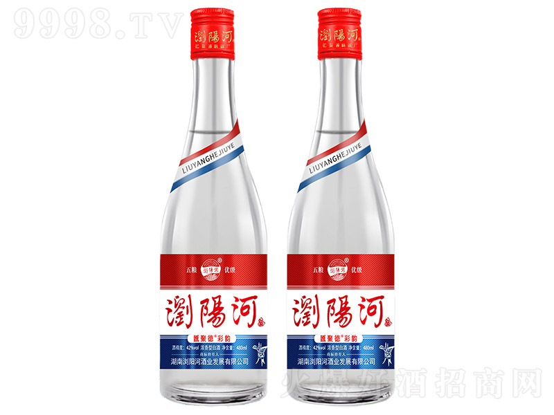 �g�(y��ng)�Ӿơ��R�۵²�� �����͡�42�� 480ml��