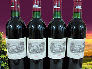 �V�ݰٷƾƘI(y��)���޹�˾