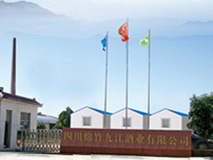 �Ĵ��d��Ž��ƘI(y��)���޹�˾