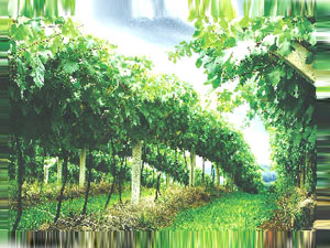 ɽ�|���_(t��i)ᄾ����޹�˾��Ȫ�ƘI(y��)�ֹ�˾