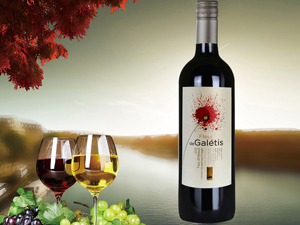 �Ϻ�����ƘI(y��)���޹�˾