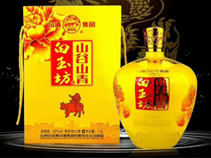 ɽ���ӻ������ƘI(y��)���޹�˾